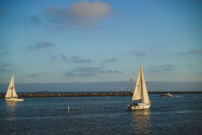 Sailboat sailing on sea against sky