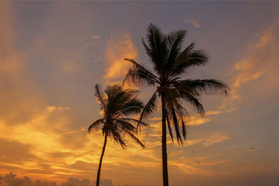 Low angle view of silhouette palm tree against romantic sky