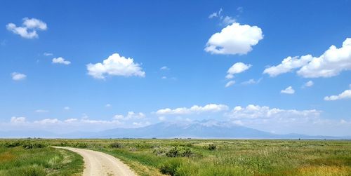 Scenic view of field against blue sky