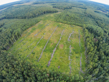 High angle view of green landscape