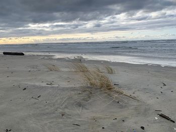 Scenic view of beach against sky