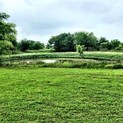 Scenic view of field against sky