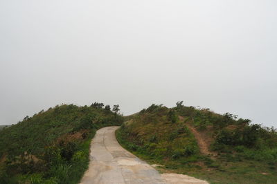 Footpath amidst trees against clear sky