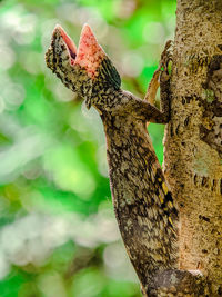 Close-up of butterfly on tree trunk