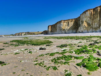 Scenic view of beach against clear blue sky