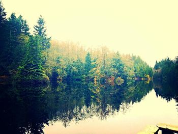 Scenic view of trees against clear sky
