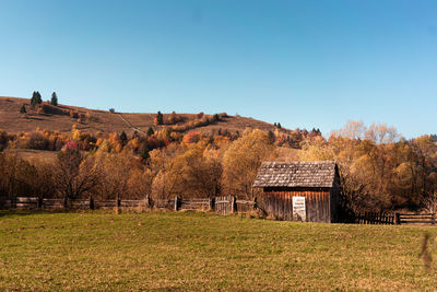 Trees on field against clear sky