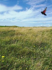 Bird flying over field against sky