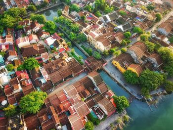 High angle view of tree and buildings in city