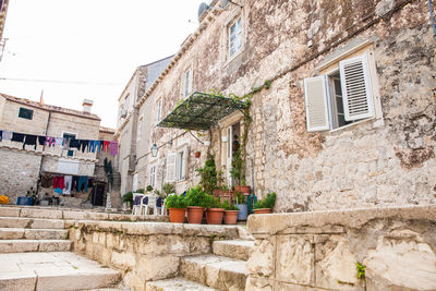 Low angle view of potted plants on wall of building