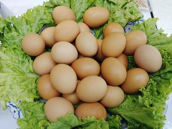 High angle view of eggs in container