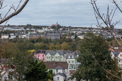 Trees and houses against sky in city