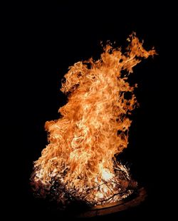 Close-up of bonfire against black background