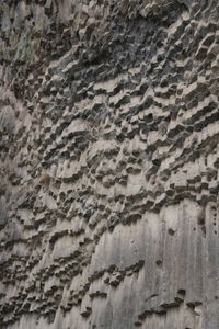 Low angle view of weathered wall