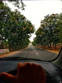 Cropped image of person by road against trees seen through car windshield