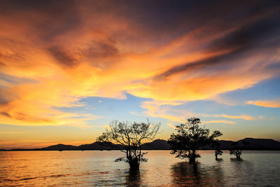 Silhouette trees by lake against orange sky