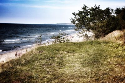 Scenic view of beach against sky