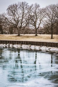 Bare trees in water against sky