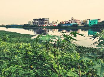Scenic view of calm lake against clear sky