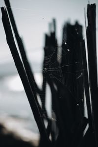 Close up of car