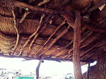thatched roof