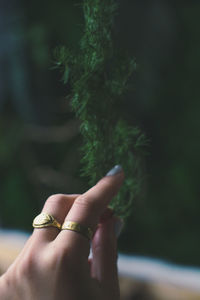 Close up female hand and fir branch concept photo