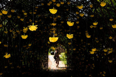 Full length of woman standing by yellow flowering tree