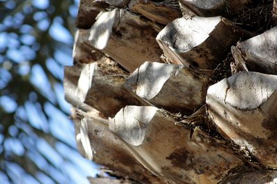Full frame shot of wood