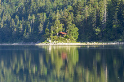 Scenic view of lake in forest