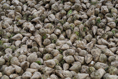 Full frame shot of rocks