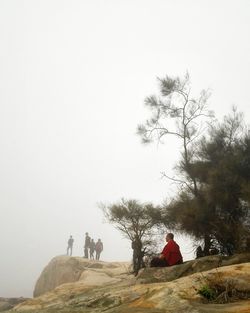 Rear view of woman sitting on landscape