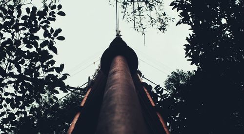 Low angle view of silhouette trees against clear sky