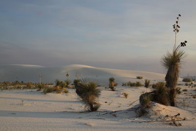 White sands national monument against sky