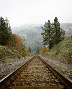 Train tracks disappear into the horizon foggy mountains