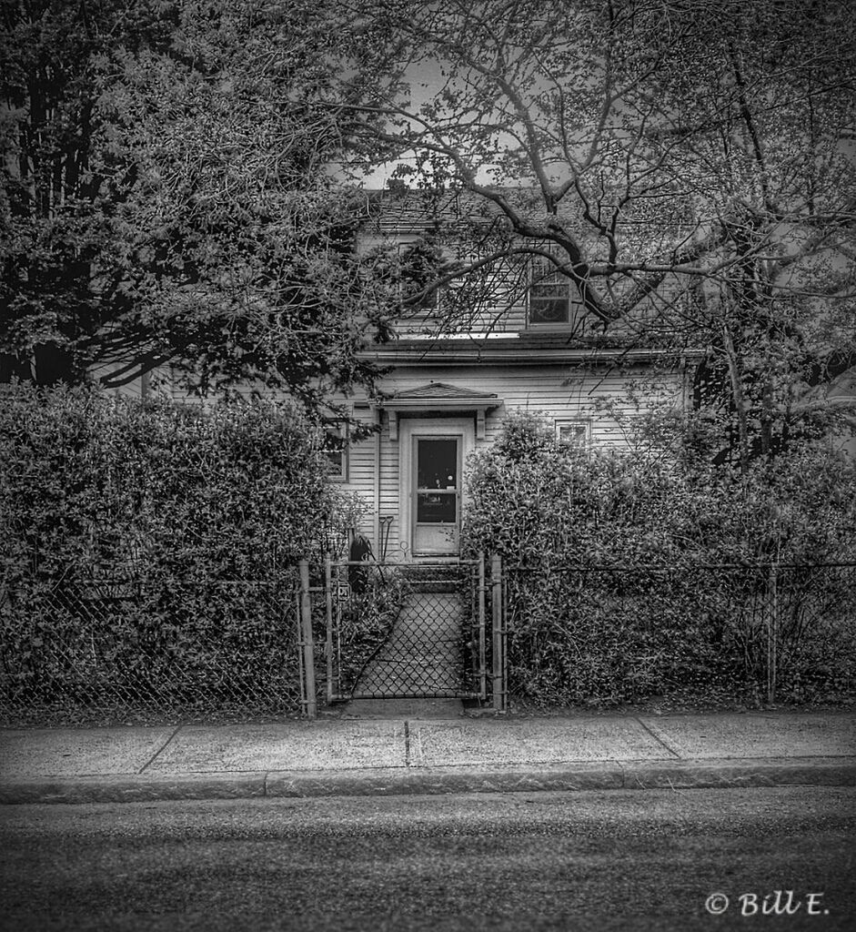 tree, architecture, built structure, building exterior, the way forward, bare tree, house, branch, empty, road, outdoors, day, no people, street, growth, diminishing perspective, residential structure, nature, footpath, transportation