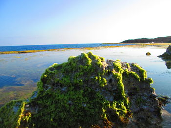 Scenic view of sea against clear sky