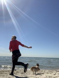 Full length of dog on beach