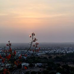 High angle view of trees and buildings against sky at sunset