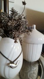 Close-up of potted plant on table at home