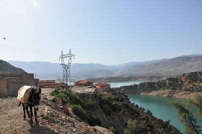 Rear view of vehicles on road by mountains against clear sky