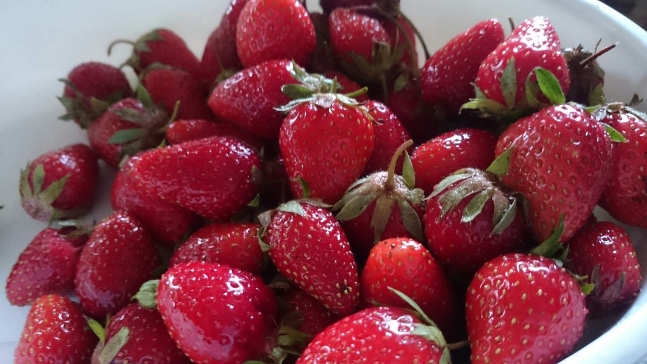 food and drink, food, red, freshness, fruit, strawberry, indoors, healthy eating, still life, close-up, berry fruit, raspberry, sweet food, ready-to-eat, indulgence, high angle view, berry, bowl, no people, plate