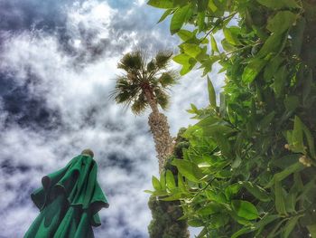 Low angle view of trees against cloudy sky