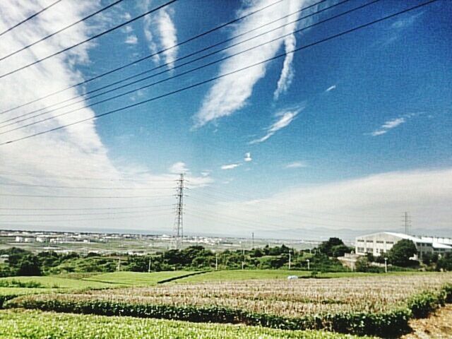 power line, electricity pylon, electricity, field, power supply, sky, fuel and power generation, landscape, rural scene, cable, agriculture, connection, tranquil scene, farm, cloud - sky, tranquility, nature, growth, grass, technology