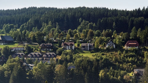 High angle view of trees and houses in forest