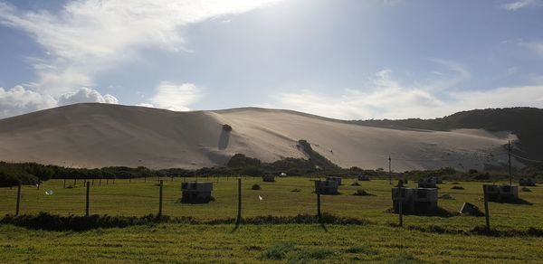 Scenic view of field against sky