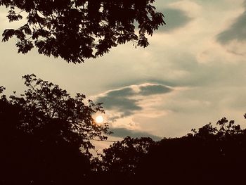 Low angle view of silhouette trees against sky during sunset