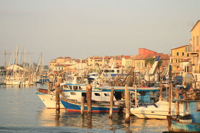 Sailboats moored in harbor