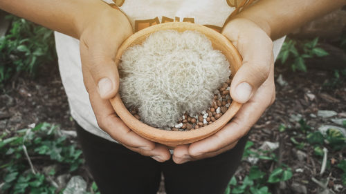 Midsection of woman holding plant on field