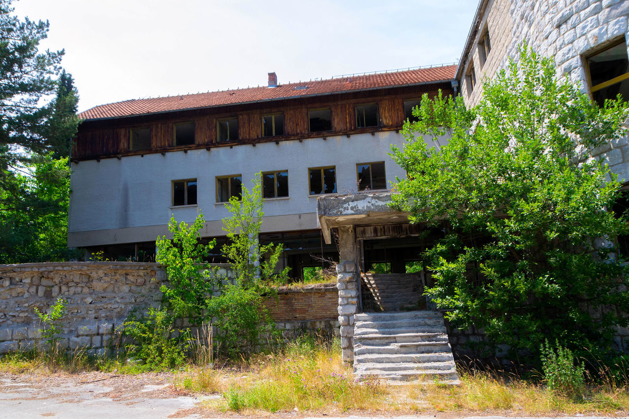 LOW ANGLE VIEW OF OLD BUILDING BY TREE AGAINST SKY