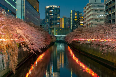 Illuminated bridge over canal amidst buildings in city at night